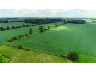 Dekalb County, Indiana Farmland - FARM AUCTION - 4 BEDROOM HOME, BUILDINGS, 70+/- ACRES OFFERED IN 5 TRACTS IN DEKALB COUNTY, INDIANA
